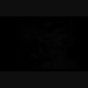 Meet your Posher, Sandy